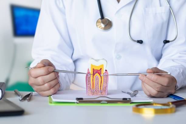 Best Urgent Dental Care for Toothache in Boiling Springs, NC